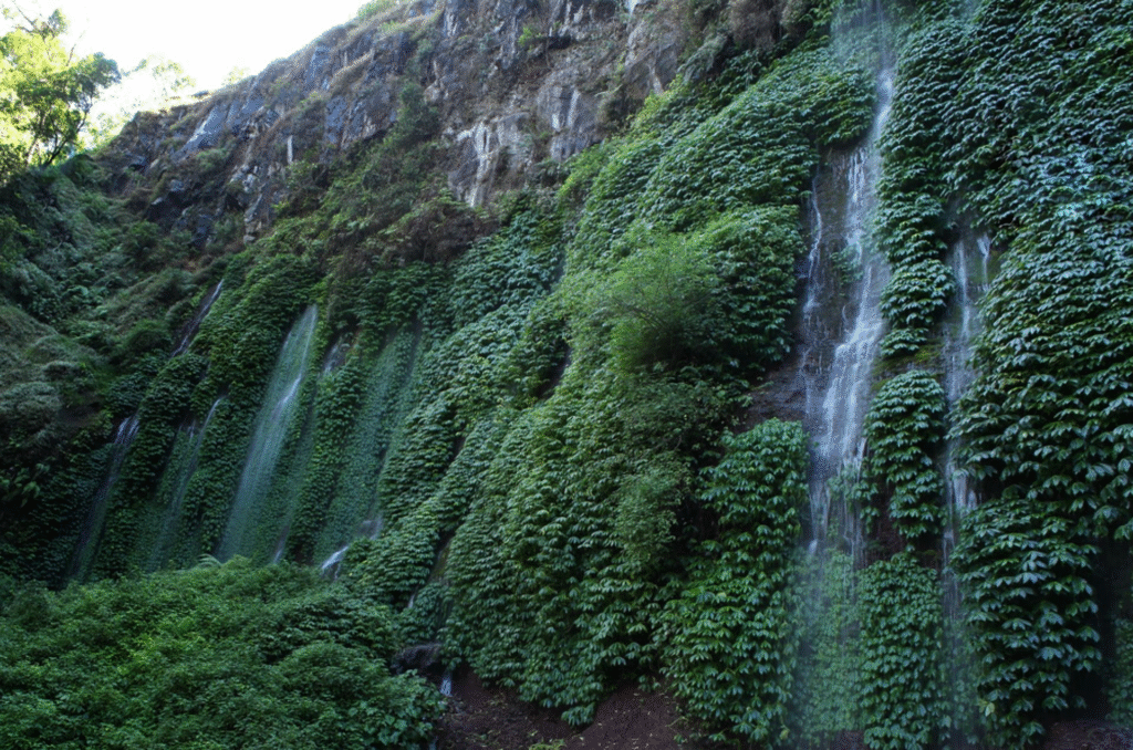 Sumber Pitu,(rumah123.com)