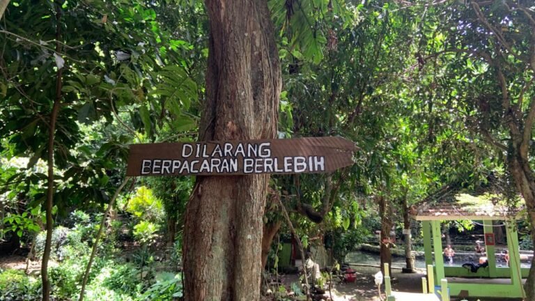 Papan kayu yang di tempel di pohon mangga, (Sahwahita).