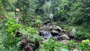 Pemandangan sungai di jalur Trekking Coban rais
