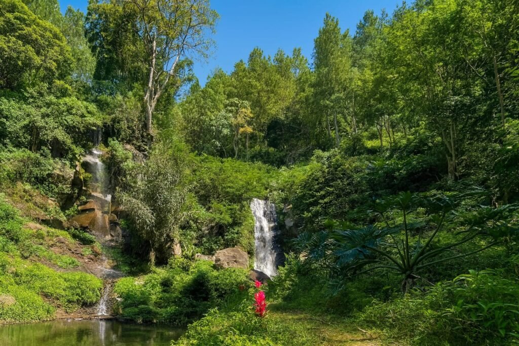 Air terjun kembar Coban Putri dengan kolam tenang dan vegetasi hijau yang rimbun, menghadirkan suasana ruang pulih alami