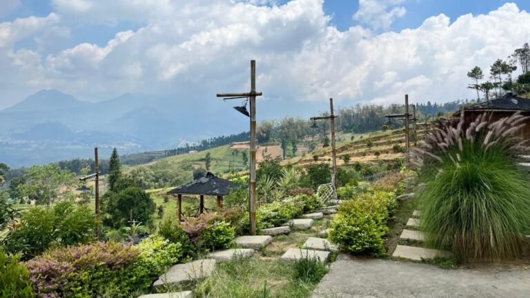 Pemandangan terasering hijau Desa Wisata Edukasi Ngabab yang menjadi latar aktivitas sosial dan pertanian warga.