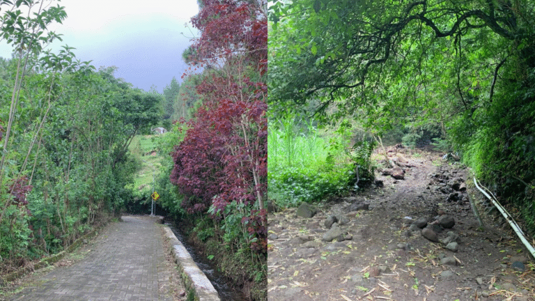 Jalur trekking Coban rais