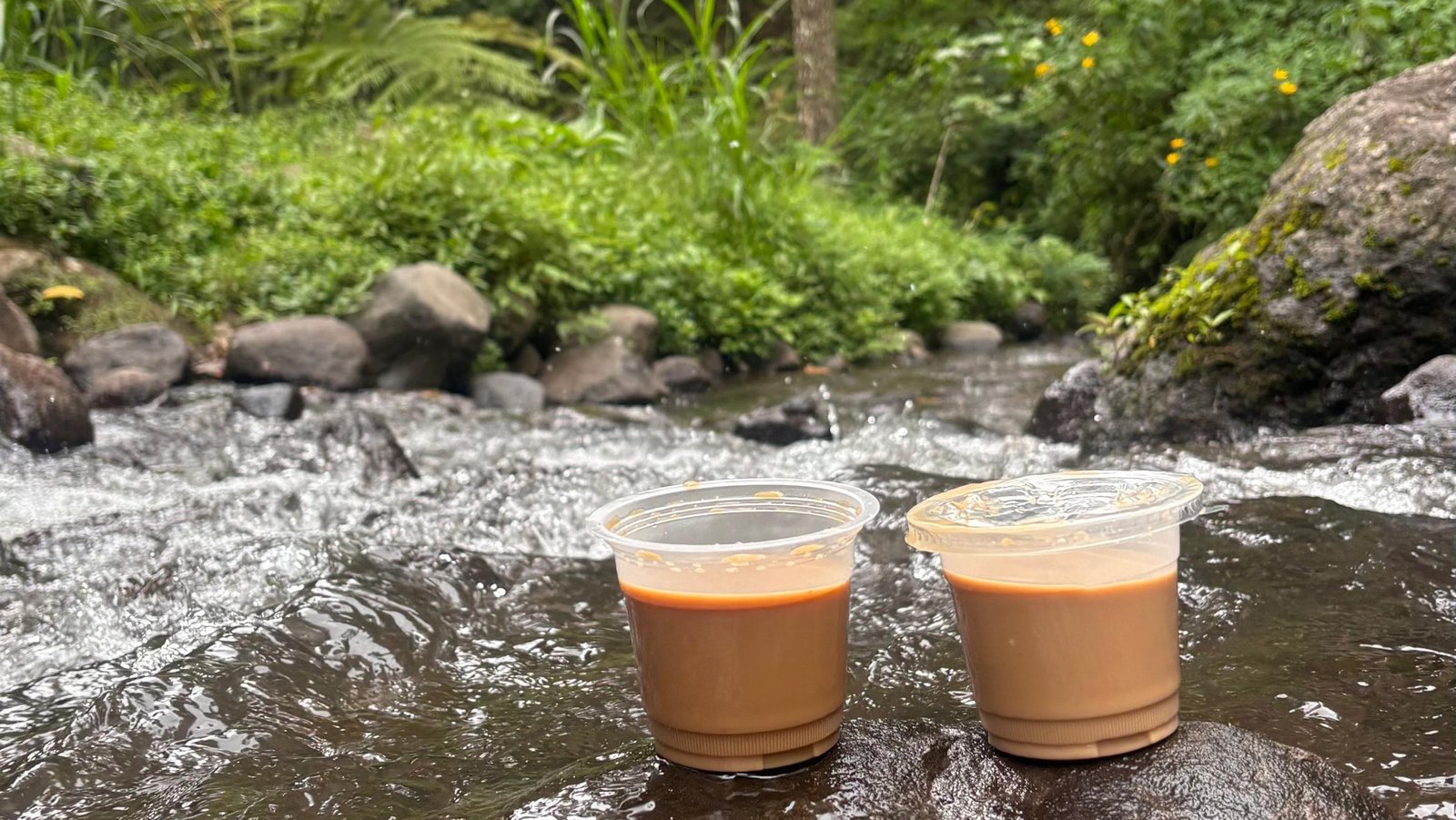 Dua Gelas Kopi di Tepi Sungai Bedengan Malang