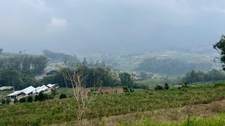 Pemandangan terasering hijau Desa Edukasi Ngabab