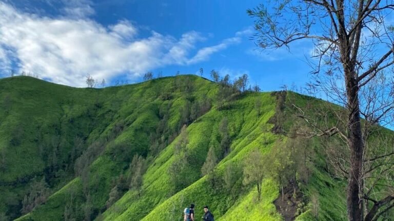 menikmati healing di bukit trunyan bali