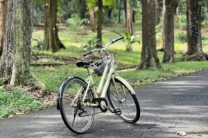 Kebun raya purwodadi