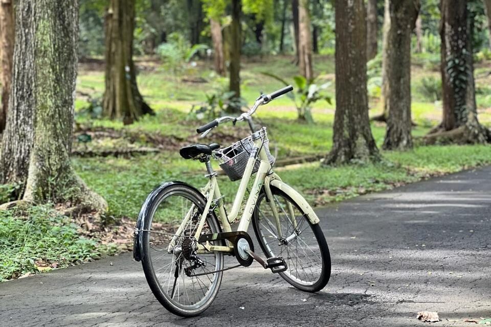Kebun Raya Purwodadi, Destinasi Bersepeda Santai di Tengah Alam