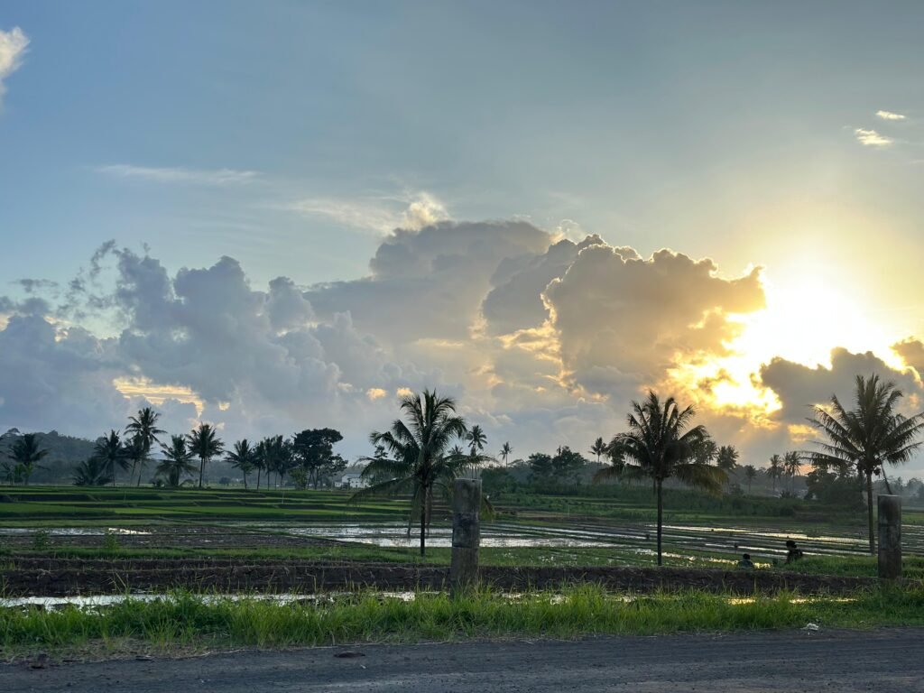 Desa Jambangan: Ruang Nyantai Anak Muda di Tengah Sawah dengan Latar Gunung Semeru