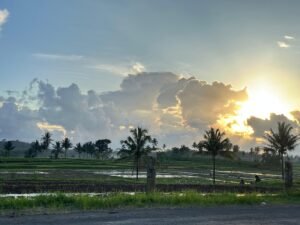 Desa Jambangan: Ruang Nyantai Anak Muda di Tengah Sawah dengan Latar Gunung Semeru