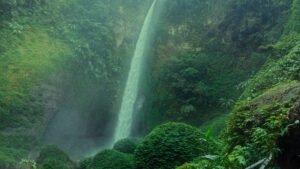 Informasi Terkait Perjalanan Menuju Coban Pelangi,Malang.