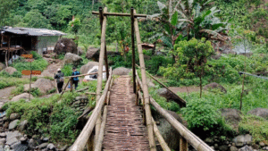 Jembatan bambu yang menjadi akses awal pengunjung menuju jalur pendakian Bukit Cendono.
