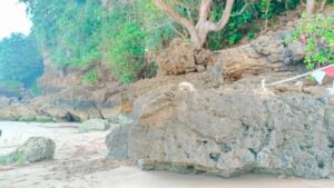 Spot Batu Karang  Instagramable dan Wajib Dikunjungi