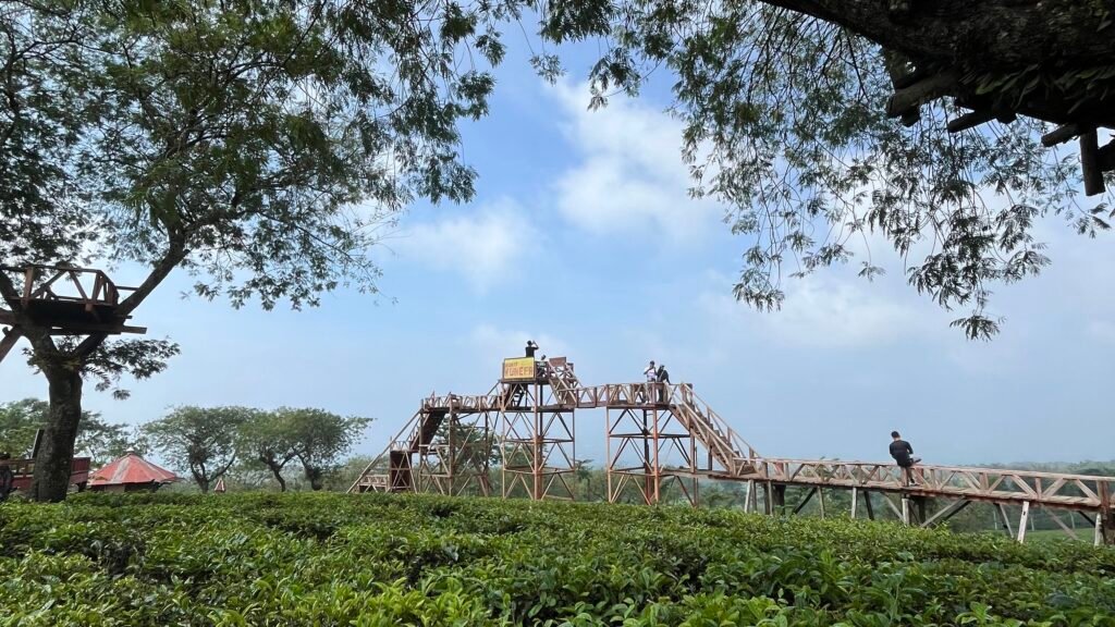 Perjalanan Penuh Makna Ketenangan di Bukit Kuneer Malang