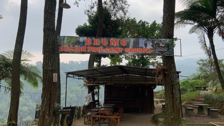 camping nyaman di benjor pine