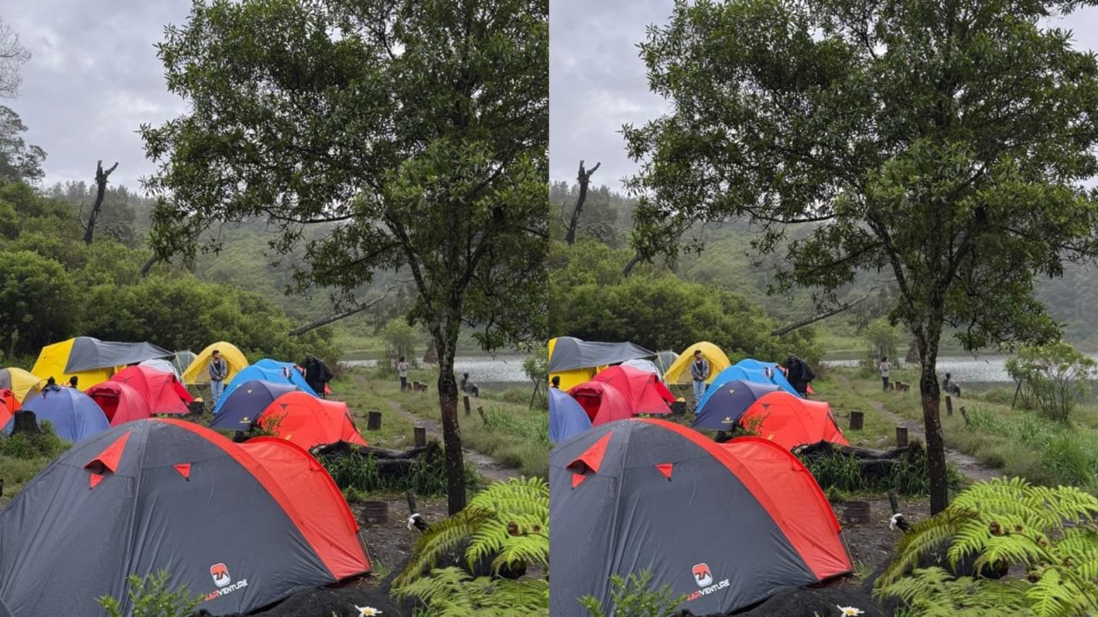 suasana camping di ranu regulo